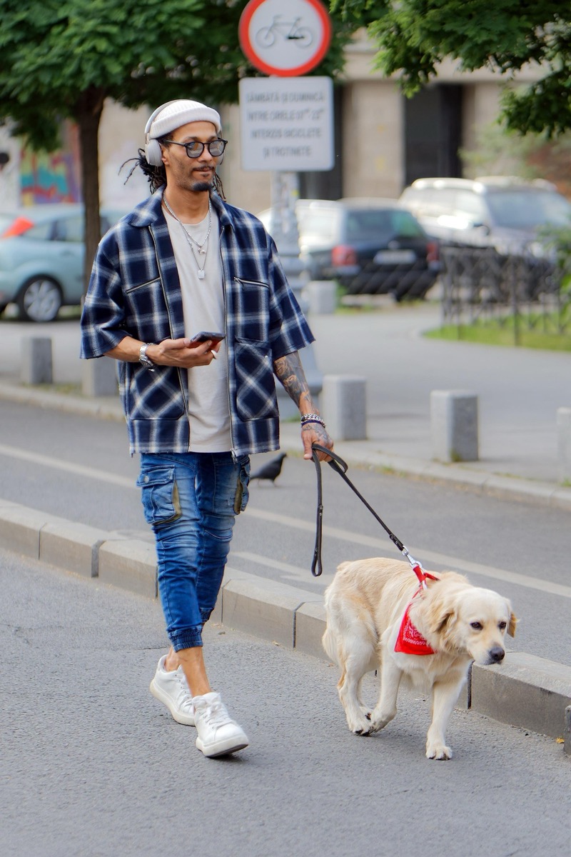 Finding the Best Dog Trainer in Santa Clara: A Local Guide