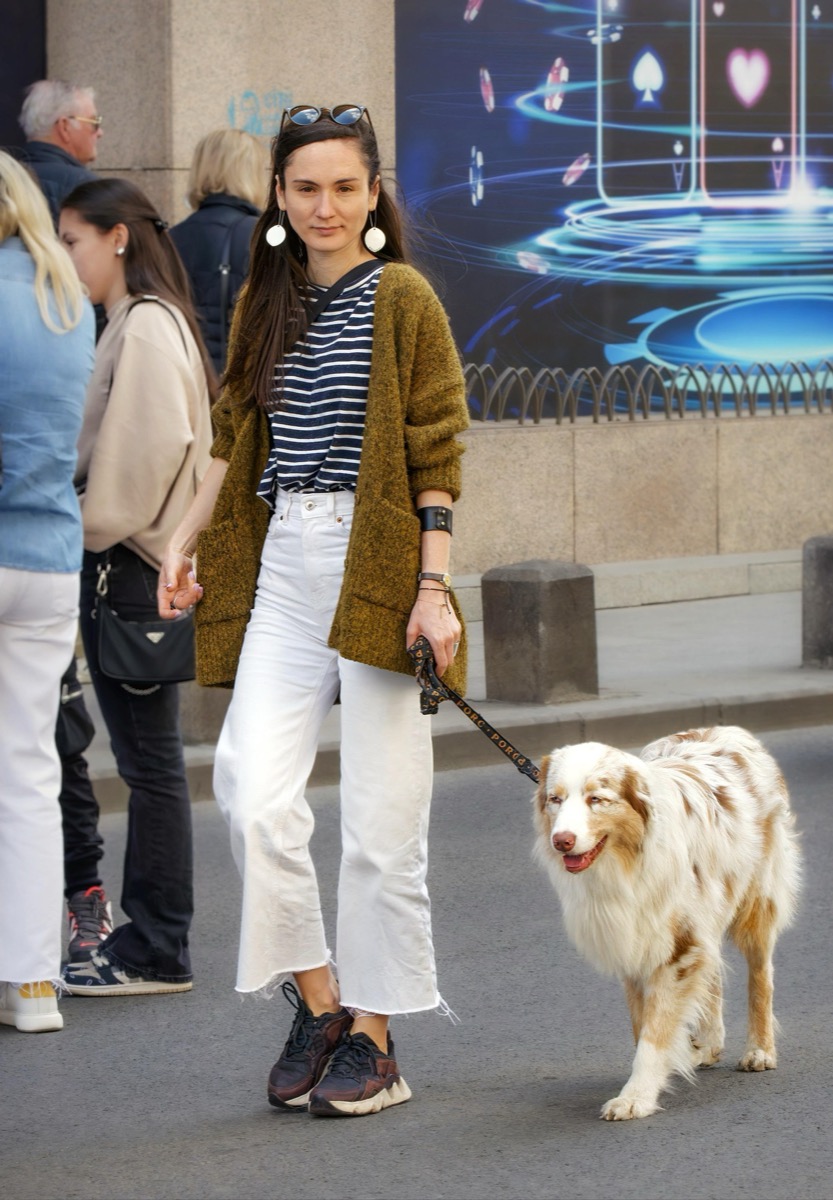 Dog Training in Santa Clara: A Practical Guide for the Mission City